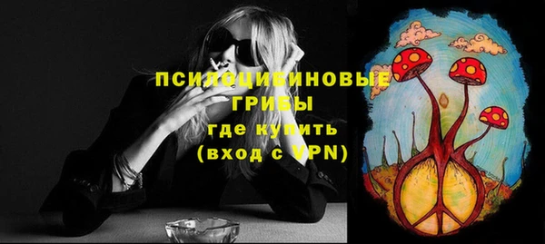 соль ск Зеленодольск