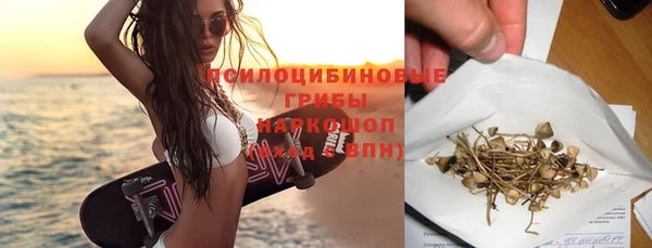гидра Зерноград